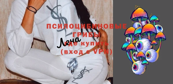винт Елизово