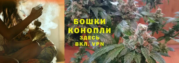 винт Елизово