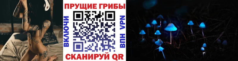 Купить  Бикин  Галлюциногенные грибы Cubensis 